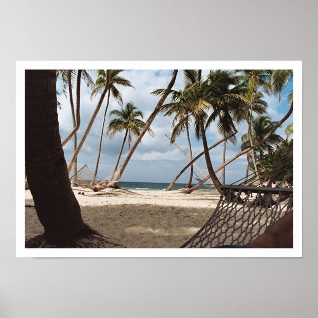 Lazy Palm Tree Days Poster (Vorne)