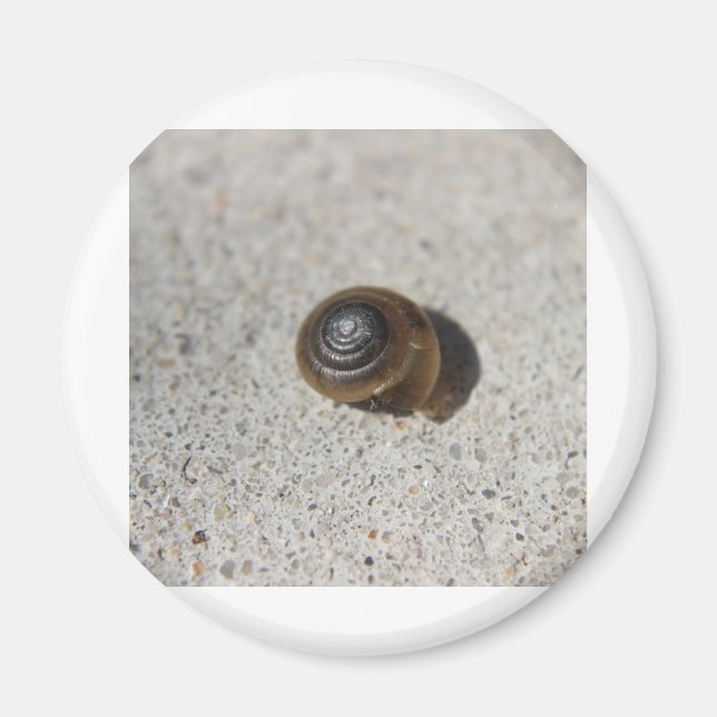 Lazy Snail Magnet (Vorne)