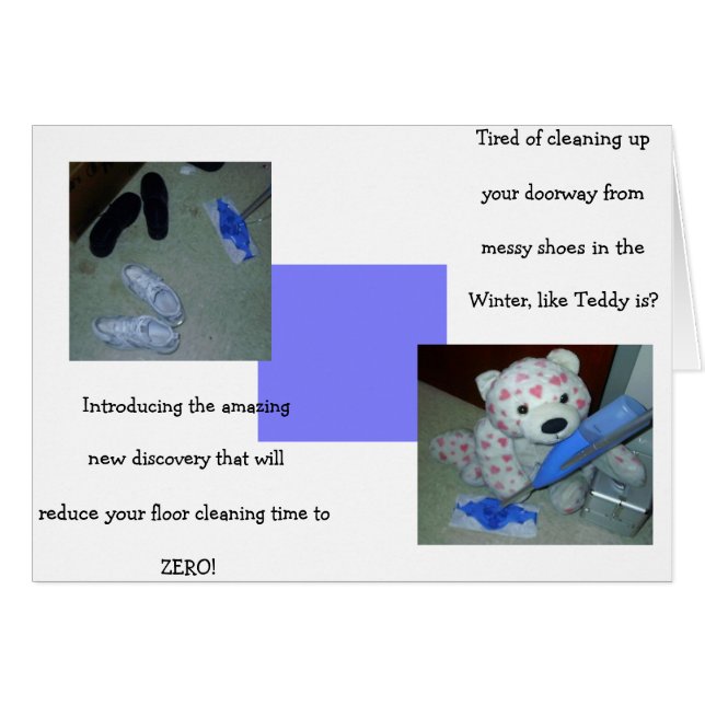 Lazy Teddy Bear Reinigung (Vorderseite (Horizontal))