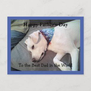 Lazy White Dog mit farbenfroher Scarf Niedlich Blu Postkarte