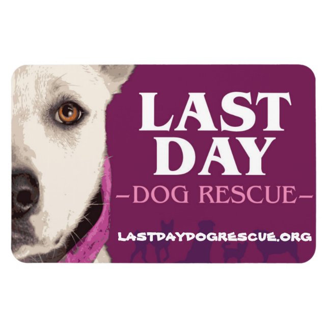 LDDR-4"x 6"-Logomagnet Magnet (Horizontal)