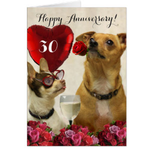 Le 30ème chiwawa heureux d'anniversaire poursuit