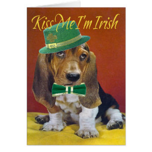 Le basset m'embrassent que je suis irlandais