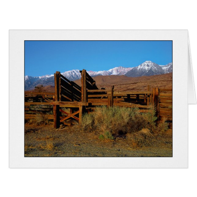 Le "bétail chute " (Devant horizontal)