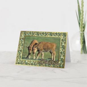 Le bison met bas carte de Noël animale