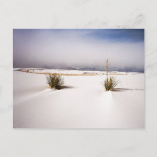 Le blanc ponce la carte postale de matin