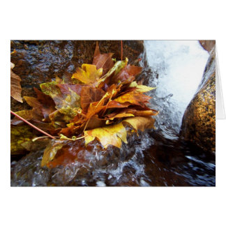 Le bouquet de la nature