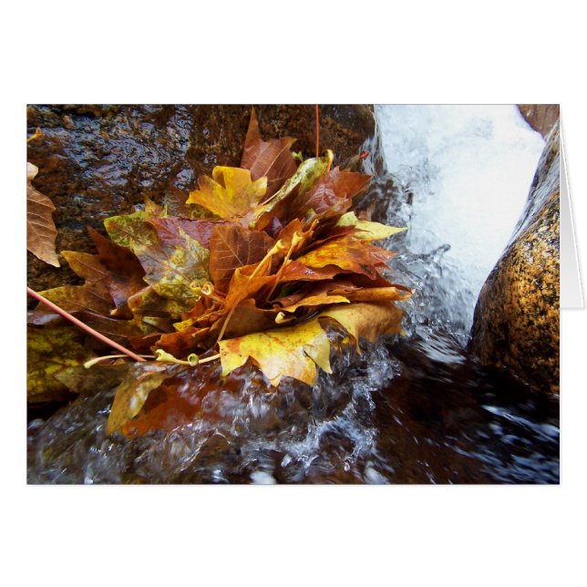 Le bouquet de la nature (Devant horizontal)