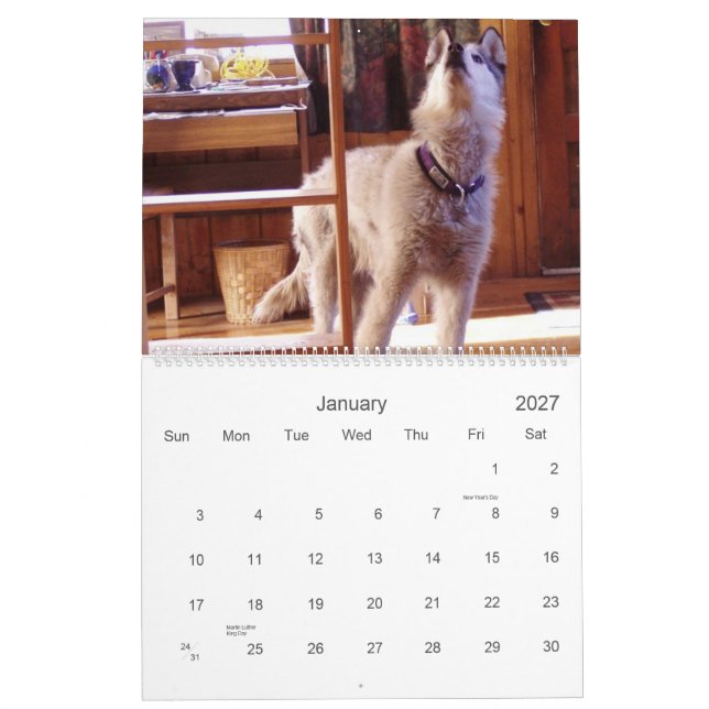 Le calendrier 2007 de Quinn (Jan 2027)