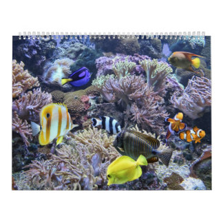 Le calendrier d'aquarium