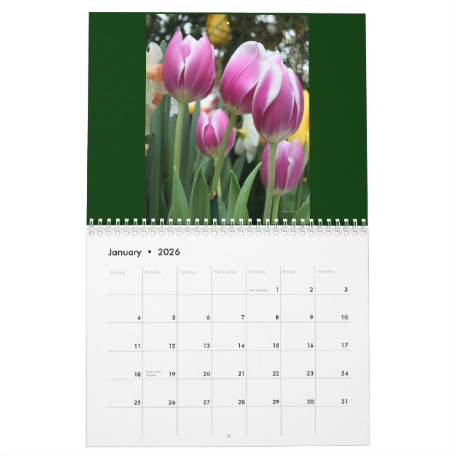 Le calendrier de Karen !  2011 (Jan 2026)