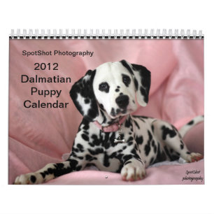 Le calendrier de la photographie 2012 de SpotShot