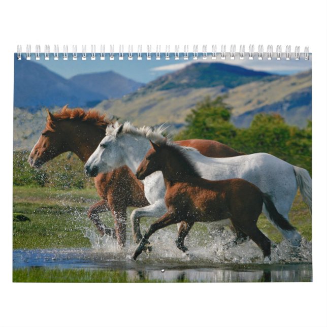 Le calendrier de l'amant de cheval (Protection)