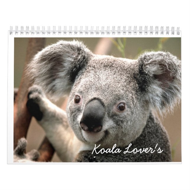 Le calendrier de l'amant de koala (Protection)