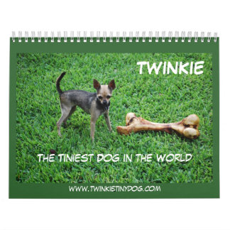 LE CALENDRIER DE TWINKIE