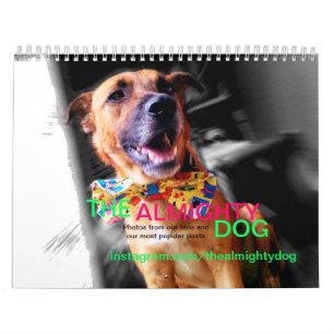Le calendrier des animaux le plus mignon du chien