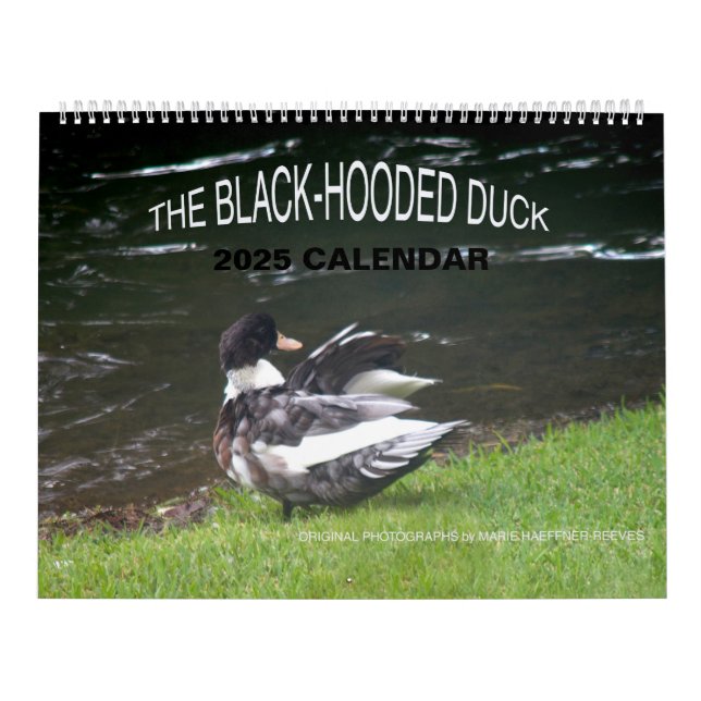 LE CALENDRIER DU CANARD NOIR 2025 (Protection)