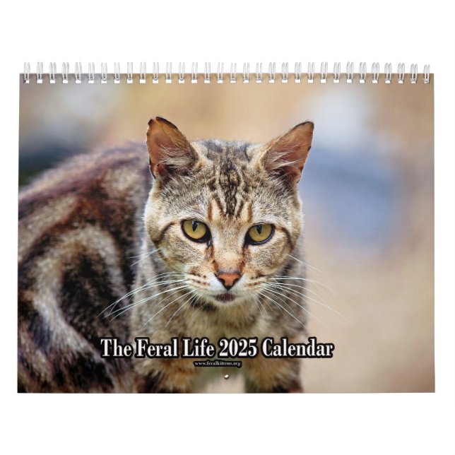 Le calendrier Feral LIfe Photo Cats 2025 (Protection)