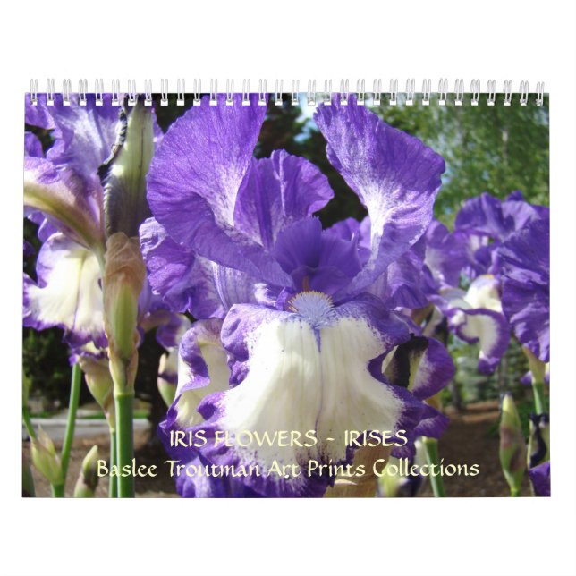 Le CALENDRIER irise des fleurs d'iris de (Protection)
