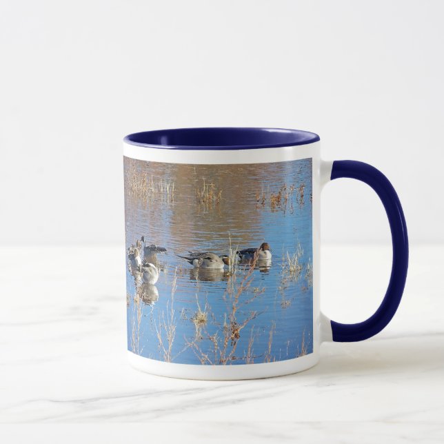 Le canard pilet de marécages penche la tasse (Droite)