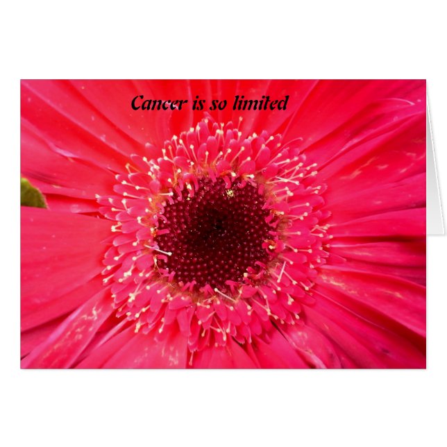 Le Cancer est si limité (Devant horizontal)