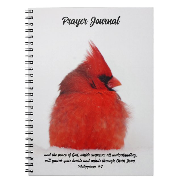 Le cardinal rouge Paix aux oiseaux dans le Journal (Devant)