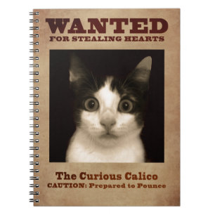 Le carnet curieux de chaton de calicot