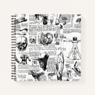 Le carnet de croquis de l'anatomie de Da Vinci