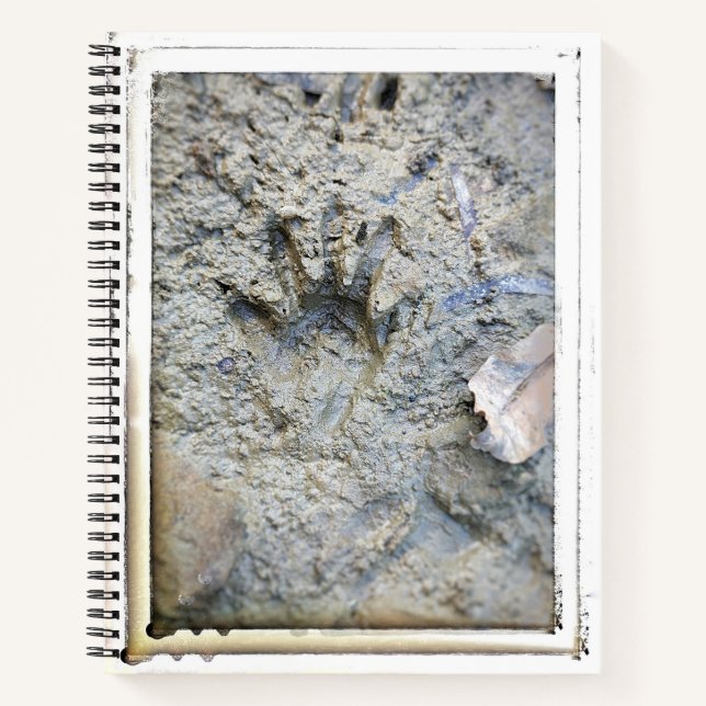 Le Carnet de Frog's Foot College (Devant)