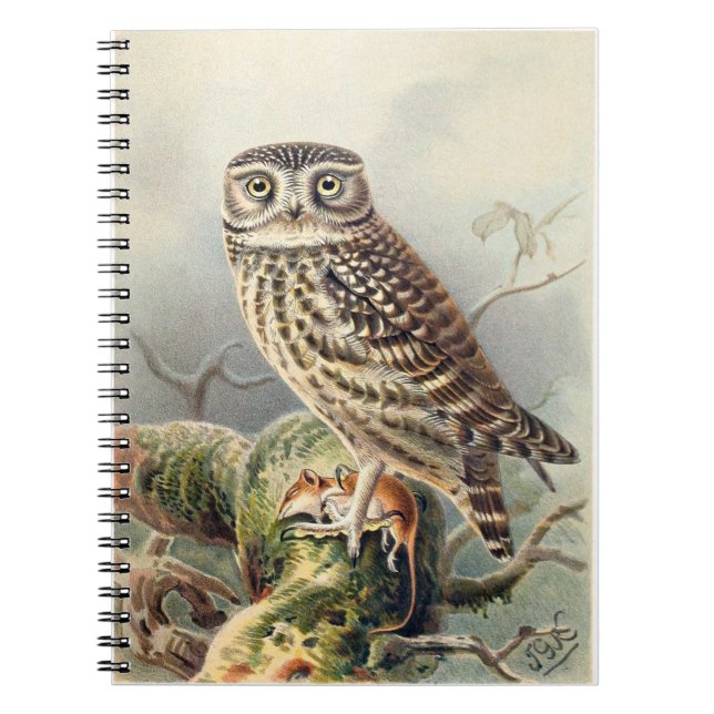 Le Carnet de Little Owl (Devant)