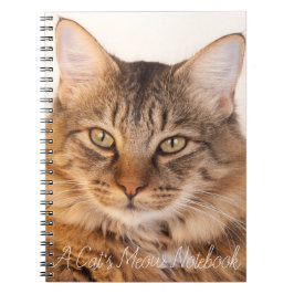 Le Carnet Meow d'un chat
