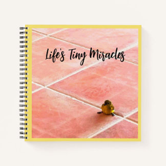 Le Carnet spiral des minuscules miracles de la vie