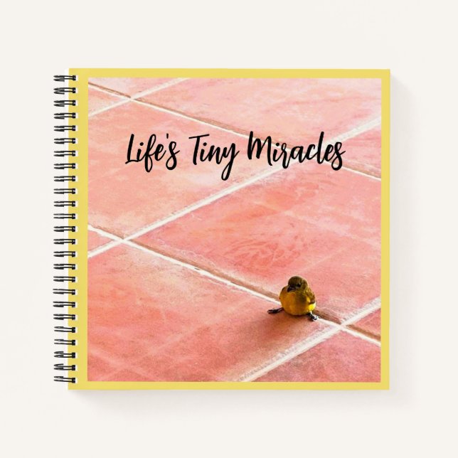 Le Carnet spiral des minuscules miracles de la vie (Devant)