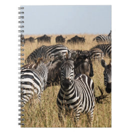 Le Carnet zèbre de Grant