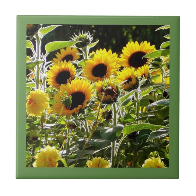 Le carreau de céramique peut être utilisé comme (Devant)