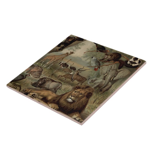 Le carreau de la Jungle Vintage (Côté)