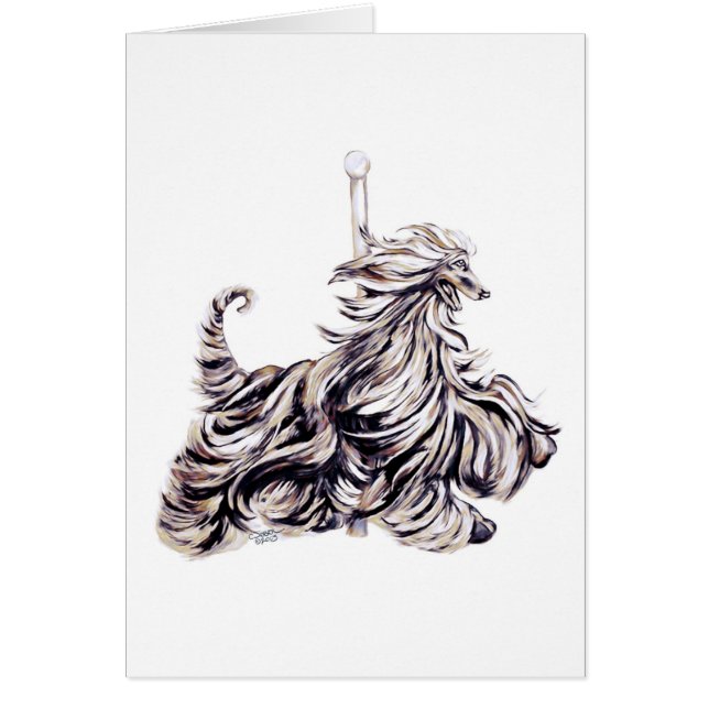 Le carrousel afghan (Devant)