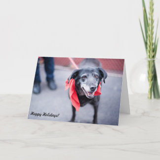 Le carte de fin de année "vacances chaudes