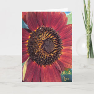 Le Carte de remerciements de tournesol rouge