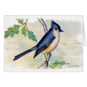 Le Carte de remerciements d'oiseaux bleus touffus