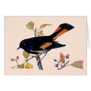 Le Carte de remerciements Redstart Bird