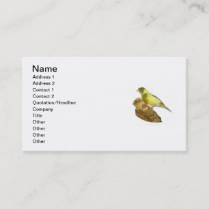 Le carte de visite de l'éleveur jaune canari