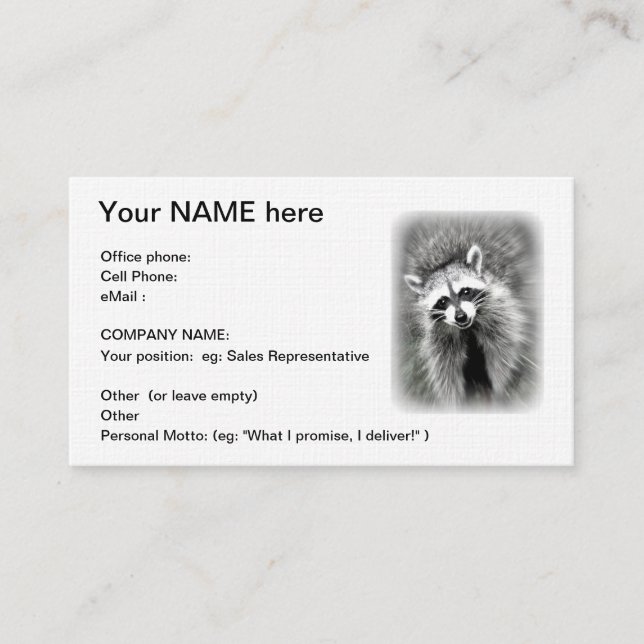 Le carte de visite de sourire de raton laveur (Devant)