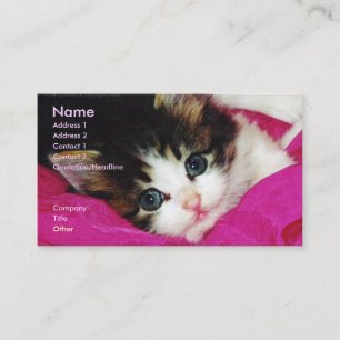 Le carte de visite du chaton le plus mignon du