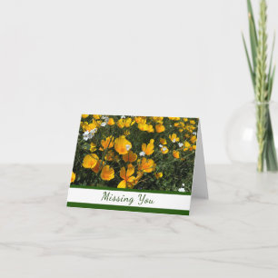 Le Carte pour notes du champ de pavots vous a manq