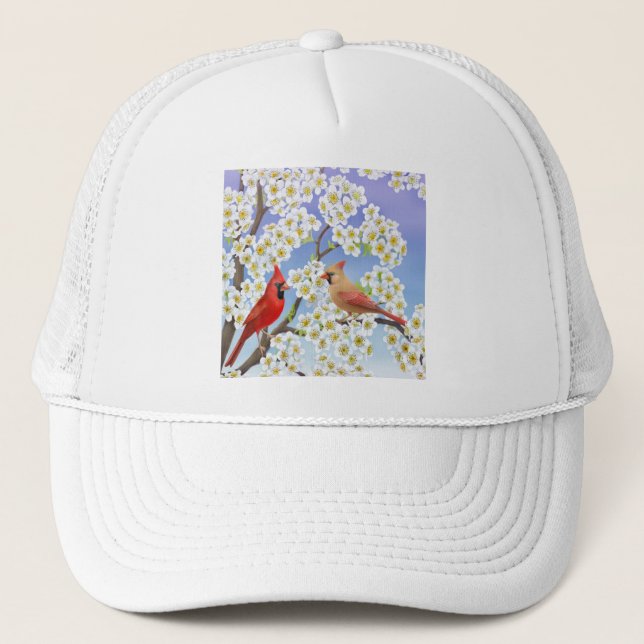 Le casquette de maille de cardinaux (Devant)