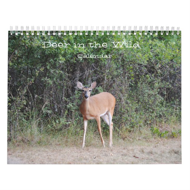 Le cerf dans le calendrier photographique sauvage (Protection)