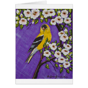 Le chardonneret américain