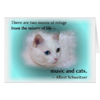 Le chat de Schweitzer