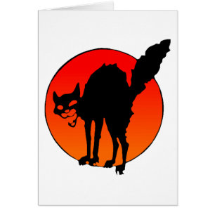 Le chat du syndicaliste